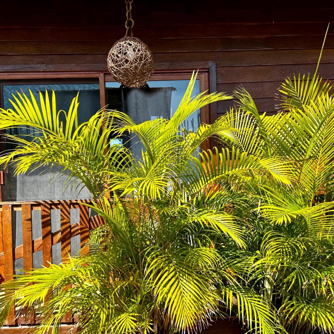 Ecoco Holbox - Ecochic - Cabanas De Madera - Holbox Retreat Exterior foto